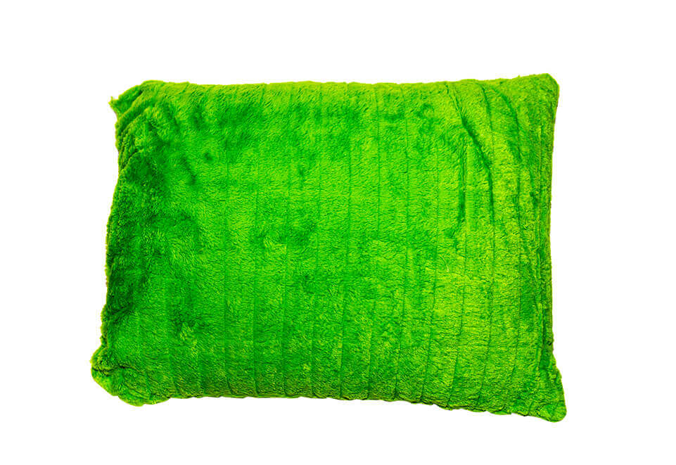 Green Bright Pillow